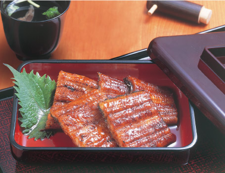 Unagi-no-Kabayaki